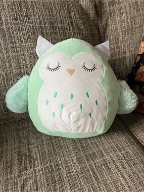 Petrina Squishmallow Owl
